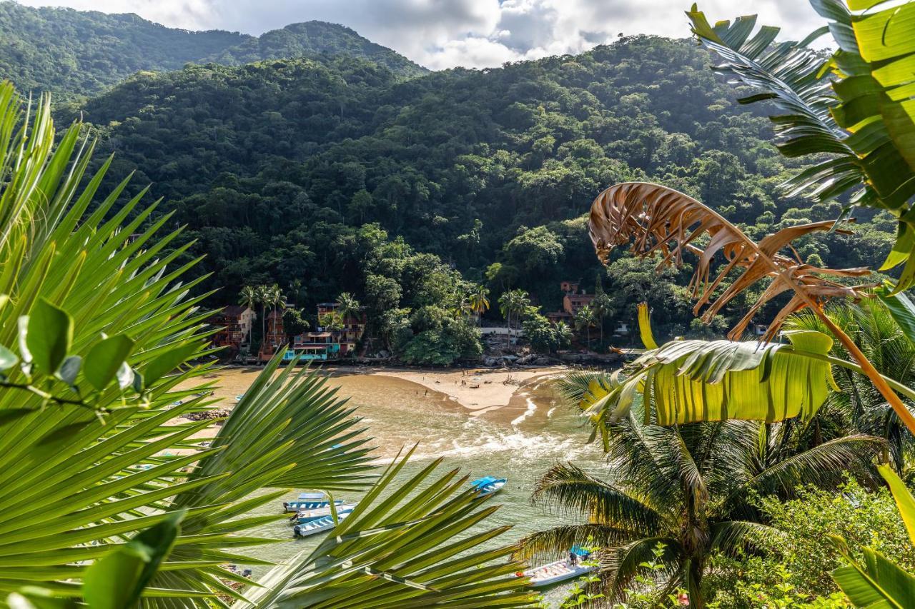 Pv South Shore Luxury Suites And Villa For Rent Puerto Vallarta Buitenkant foto